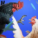 Rooster Fights